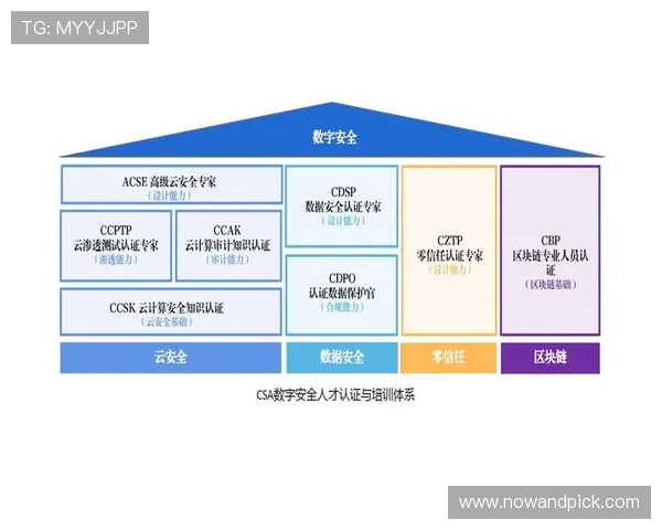 乐鱼体育官方在线平台加强安全措施，保障用户信息安全与隐私保护