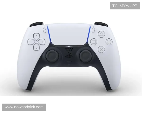 半岛体育在线网站的移动端应用下载与使用指南