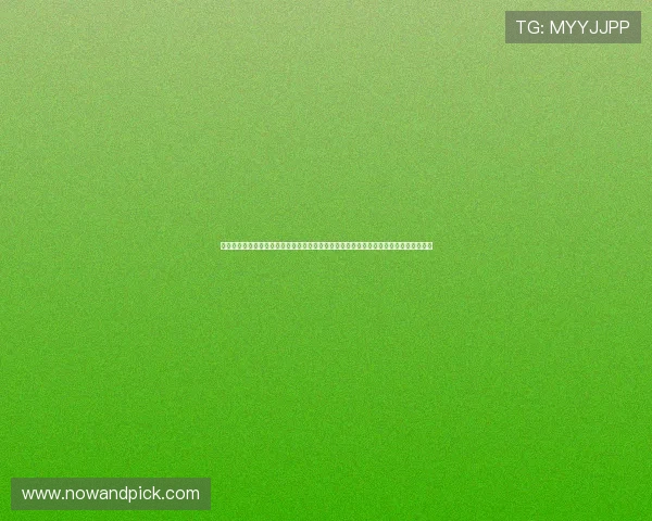 体育导航网提供最权威的世界杯赛程安排、比分直播和球队分析，满足足球迷的全部需求