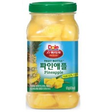 레인보우업소용냉장 추천 TOP8 고객 만족도 높은 제품 소개