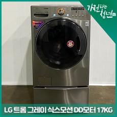 lg트롬드럼17kg 쇼핑 꿀팁 가이드