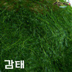 포스트잇 종류 및 추천 TOP12 완벽 가이드