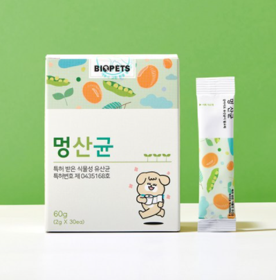 노견 영양제 추천 TOP7 – 강아지를 위한 건강식품