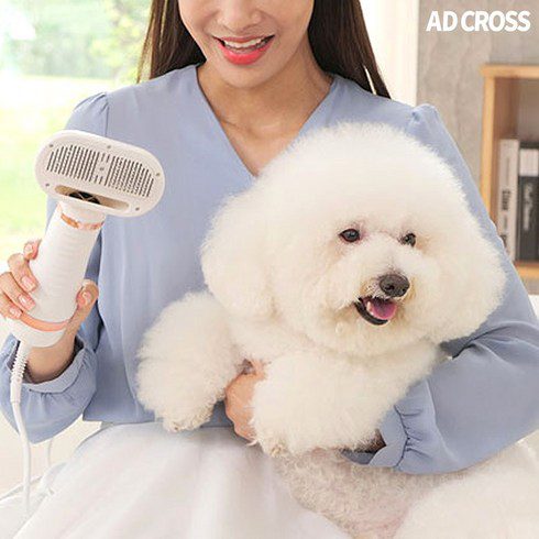 강아지드라이기 추천 이유 및 특징 정리