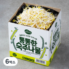 곱슬이콩나물 | 후기가 증명하는 최고의 제품 선택