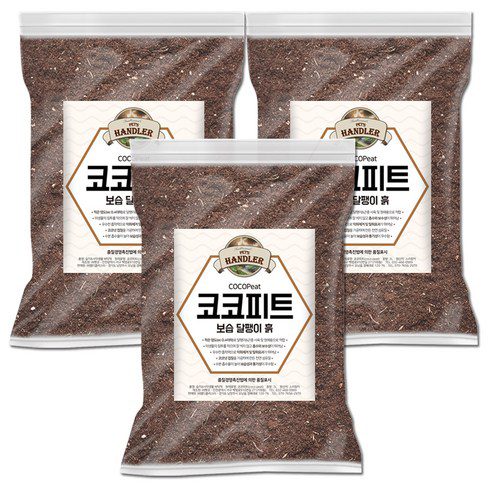 강아지기관지영양제 추천 이유 및 특징 정리