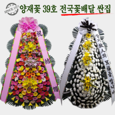 로댄티 추천 TOP9 최저가로 만나볼 수 있는 혜택