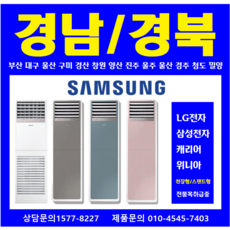 네오아미코 내돈내산 후기정보