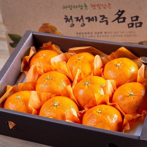출산축하선물 추천 및 가격 비교 장단점 정리