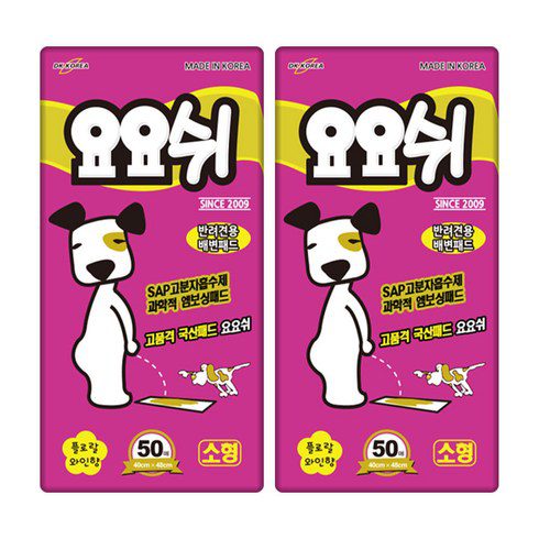 요요쉬 추천 이유 및 특징 정리