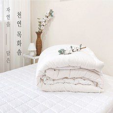 친환경텐셀이불솜 올해 화제의 아이템