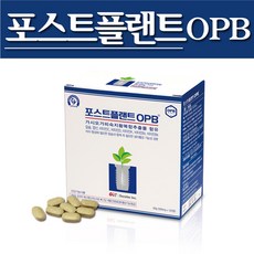 콘탁스t1 구매 방법 정보 공유, 할인 이벤트 소개