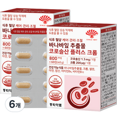 햇살담은 바나바 추천 이유 및 특징 정리