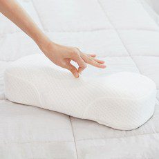 허리디스크베개 | 판매 기록 신화를 세운 베스트셀러 제품