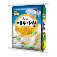 헤르젠쌀21 내돈내산 솔직 사용후기